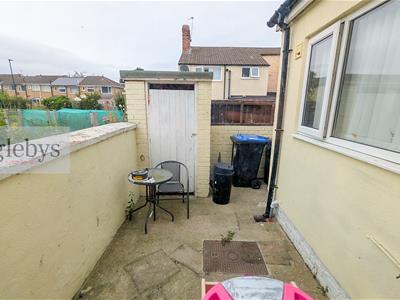 Picture 12